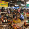 Thị trường buôn bán gà