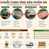 Nhu cầu cung ứng sản phẩm về gà