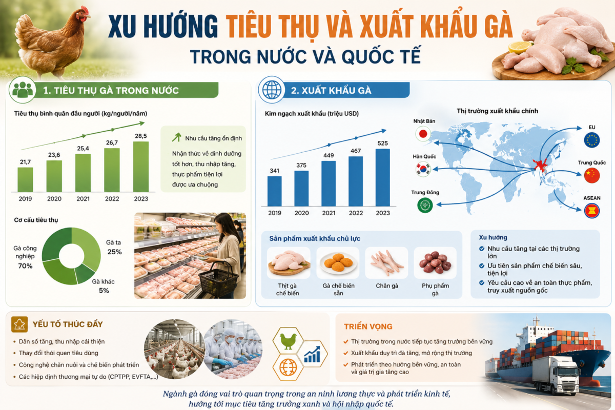 Tiêu Thụ Và Xuất Khẩu Gà