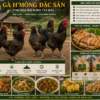 Gà H'Mông đặc sản