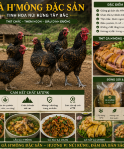 Gà H'Mông đặc sản